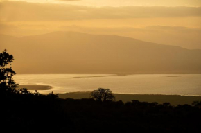 Mawemawe Manyara Lodge